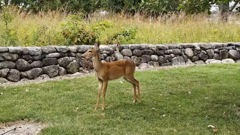 Hobart Urban Nature Preserve - Troy, OH