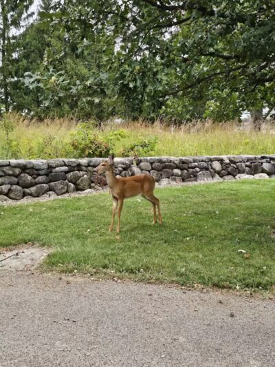 Hobart Urban Nature Preserve - Troy, OH
