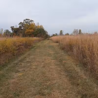 John A. Wannemacher Nature Reserve - Troy, OH