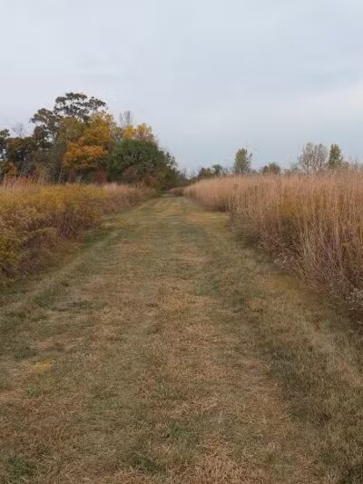 John A. Wannemacher Nature Reserve - Troy, OH