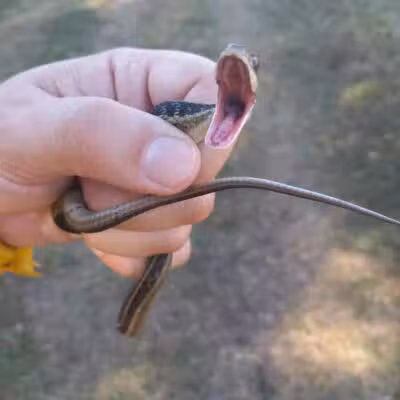 John A. Wannemacher Nature Reserve - Troy, OH