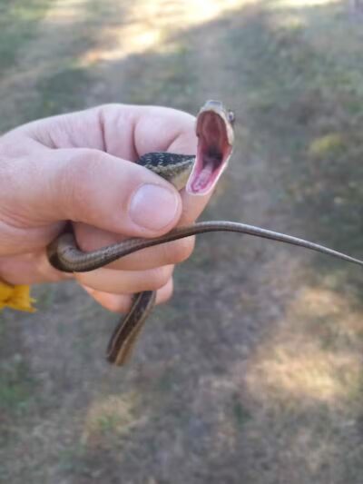 John A. Wannemacher Nature Reserve - Troy, OH