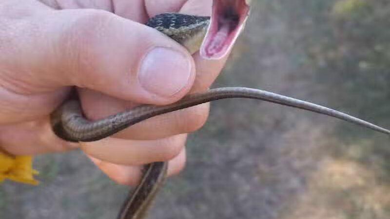 John A. Wannemacher Nature Reserve - Troy, OH