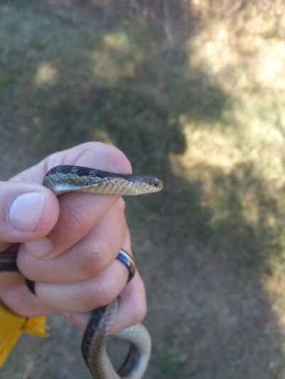 John A. Wannemacher Nature Reserve - Troy, OH