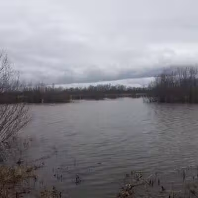 John A. Wannemacher Nature Reserve - Troy, OH
