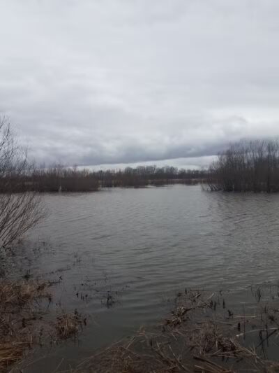 John A. Wannemacher Nature Reserve - Troy, OH