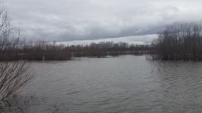 John A. Wannemacher Nature Reserve - Troy, OH