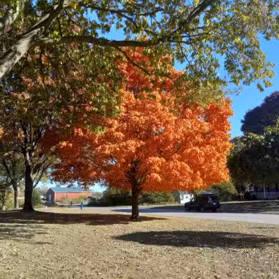 John A. Wannemacher Nature Reserve - Troy, OH