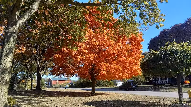 John A. Wannemacher Nature Reserve - Troy, OH