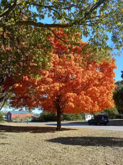 John A. Wannemacher Nature Reserve - Troy, OH