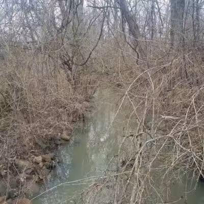 John A. Wannemacher Nature Reserve - Troy, OH