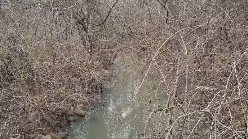 John A. Wannemacher Nature Reserve - Troy, OH