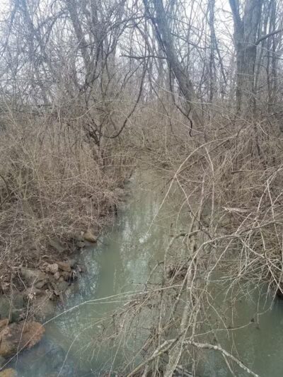 John A. Wannemacher Nature Reserve - Troy, OH