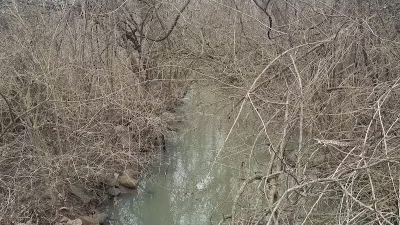 John A. Wannemacher Nature Reserve - Troy, OH