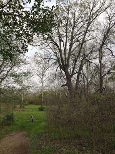 Lost Creek Reserve & Knoop Agricultural Heritage Center - Troy, OH