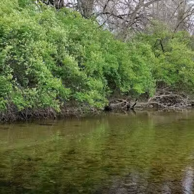 Lost Creek Reserve & Knoop Agricultural Heritage Center - Troy, OH
