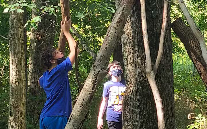 Lost Creek Reserve & Knoop Agricultural Heritage Center - Troy, OH