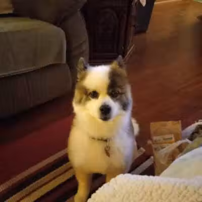 Miami County Animal Shelter - Troy, OH