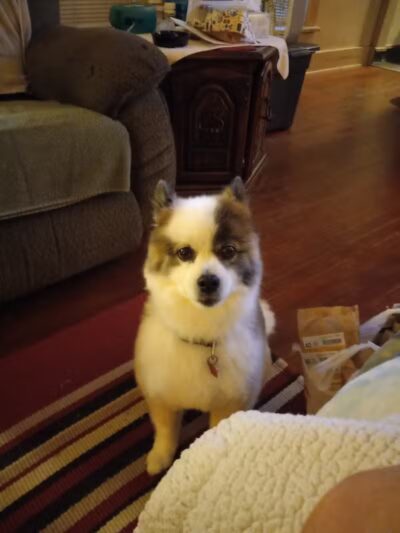 Miami County Animal Shelter - Troy, OH