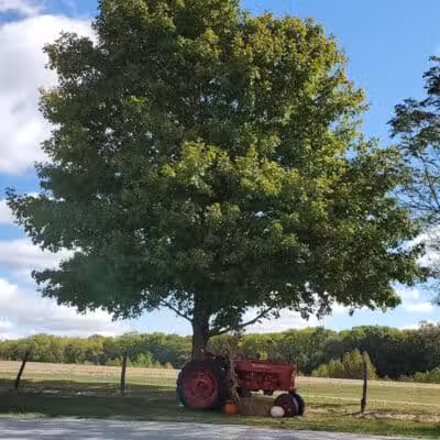 Miami County Park District - Troy, OH