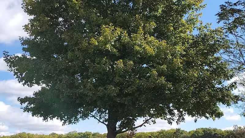 Miami County Park District - Troy, OH