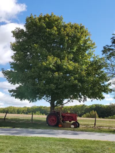 Miami County Park District - Troy, OH