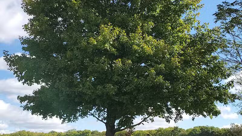 Miami County Park District - Troy, OH