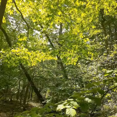 Miami County Park District - Troy, OH