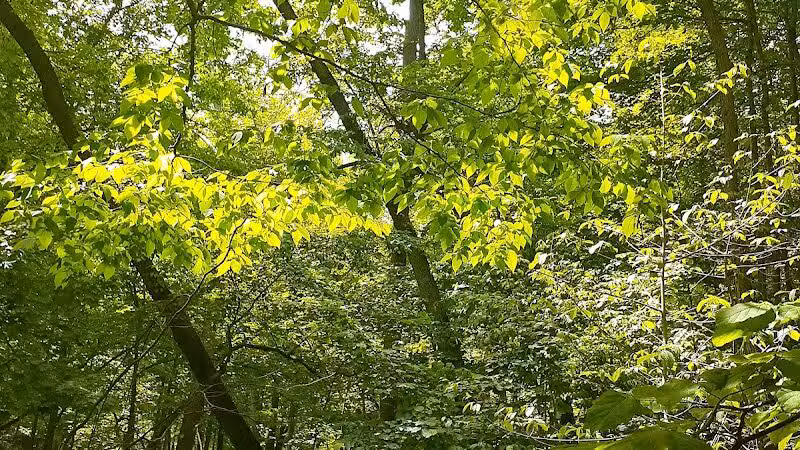 Miami County Park District - Troy, OH