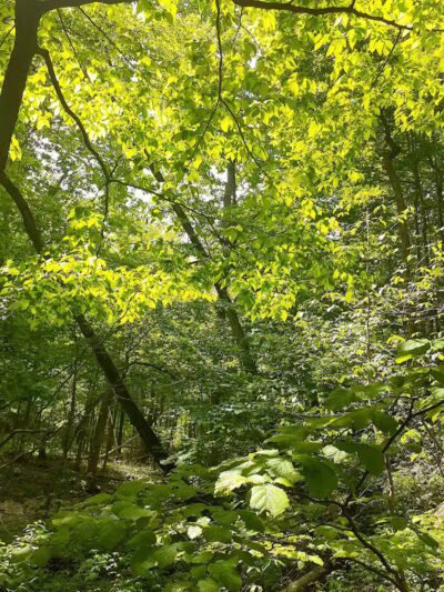 Miami County Park District - Troy, OH