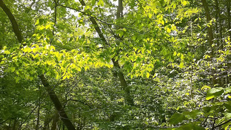 Miami County Park District - Troy, OH