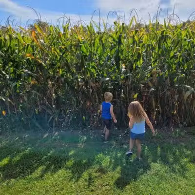Miami Recreation Trails - Troy, OH