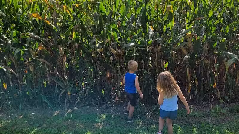 Miami Recreation Trails - Troy, OH