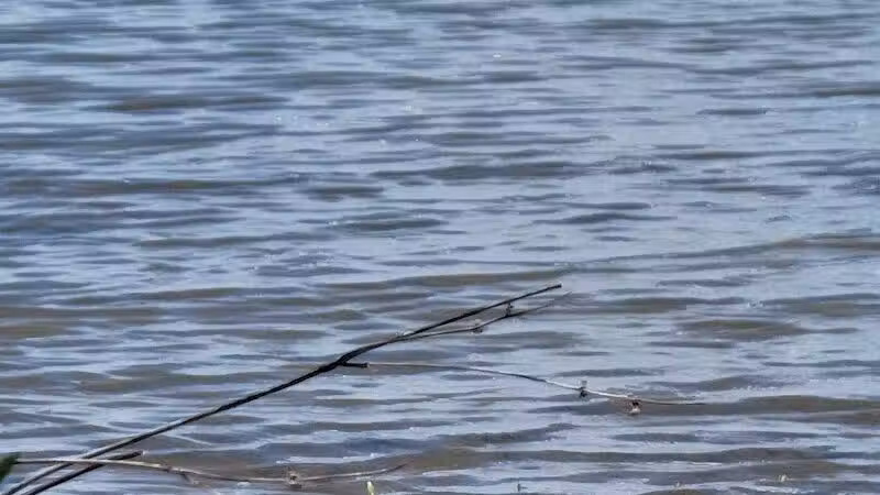 Miami Recreation Trails - Troy, OH