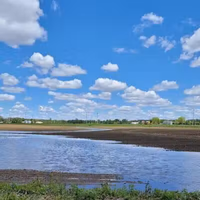 Miami Recreation Trails - Troy, OH