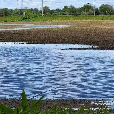 Miami Recreation Trails - Troy, OH