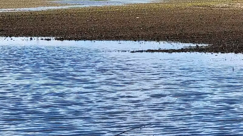 Miami Recreation Trails - Troy, OH