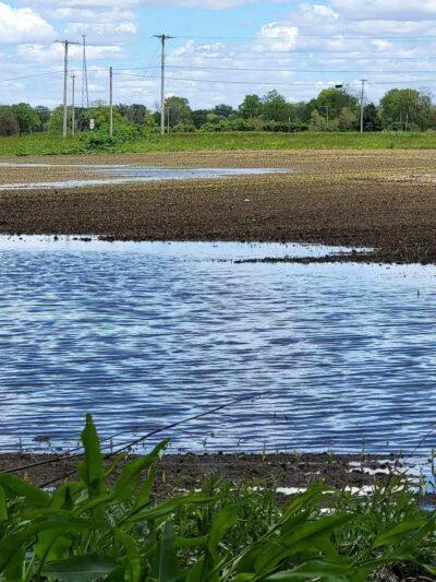 Miami Recreation Trails - Troy, OH