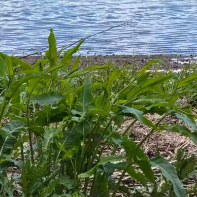 Miami Recreation Trails - Troy, OH