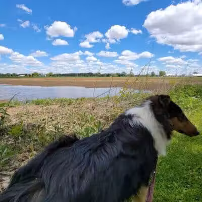 Miami Recreation Trails - Troy, OH