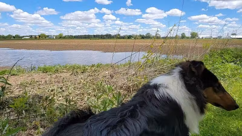Miami Recreation Trails - Troy, OH