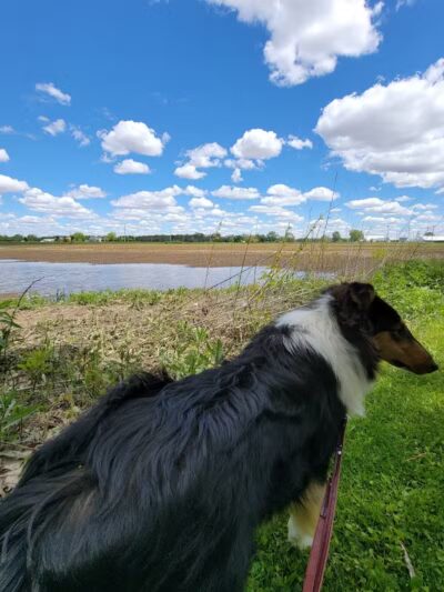 Miami Recreation Trails - Troy, OH