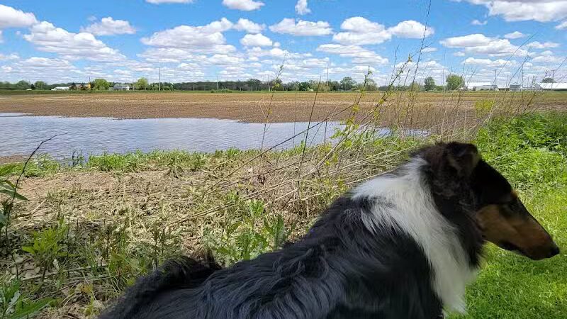 Miami Recreation Trails - Troy, OH