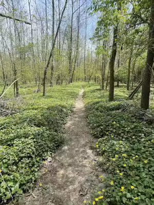 TMBA Troy Mountain BIke Area (Open sunrise to sunset) - Troy, OH