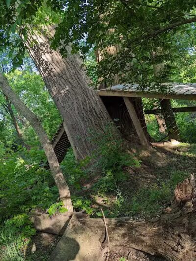 TMBA Troy Mountain BIke Area (Open sunrise to sunset) - Troy, OH