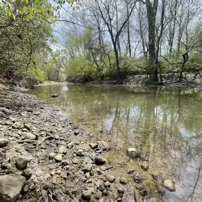 TMBA Troy Mountain BIke Area (Open sunrise to sunset) - Troy, OH