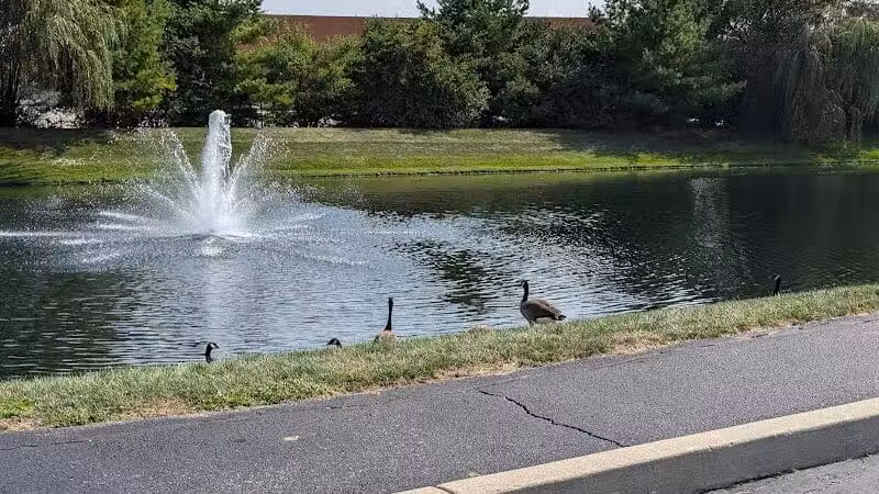 Towne Park - Troy, OH