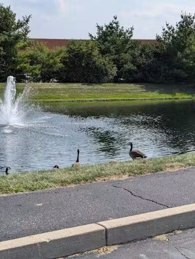 Towne Park - Troy, OH