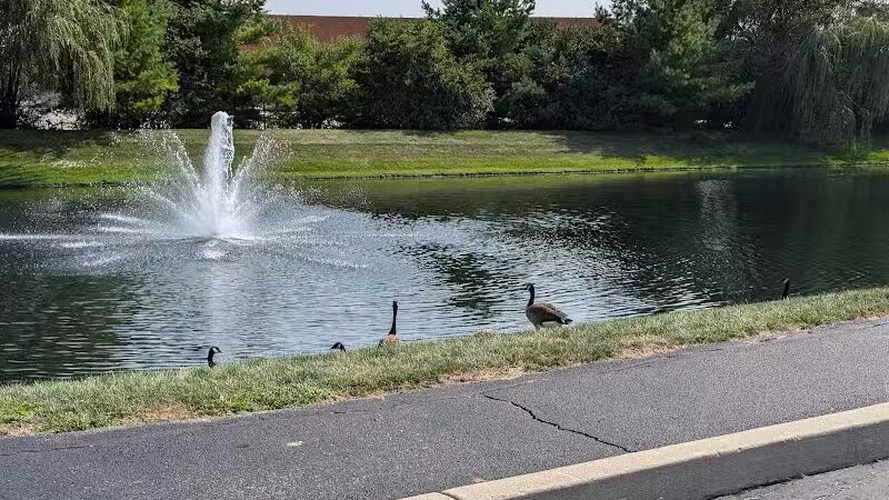 Towne Park - Troy, OH