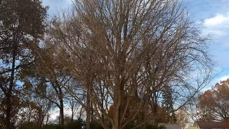 Troy City Park - Troy, OH